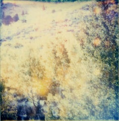 Indian Summer - The Last Picture Show, analog, 58x56cm Polaroid