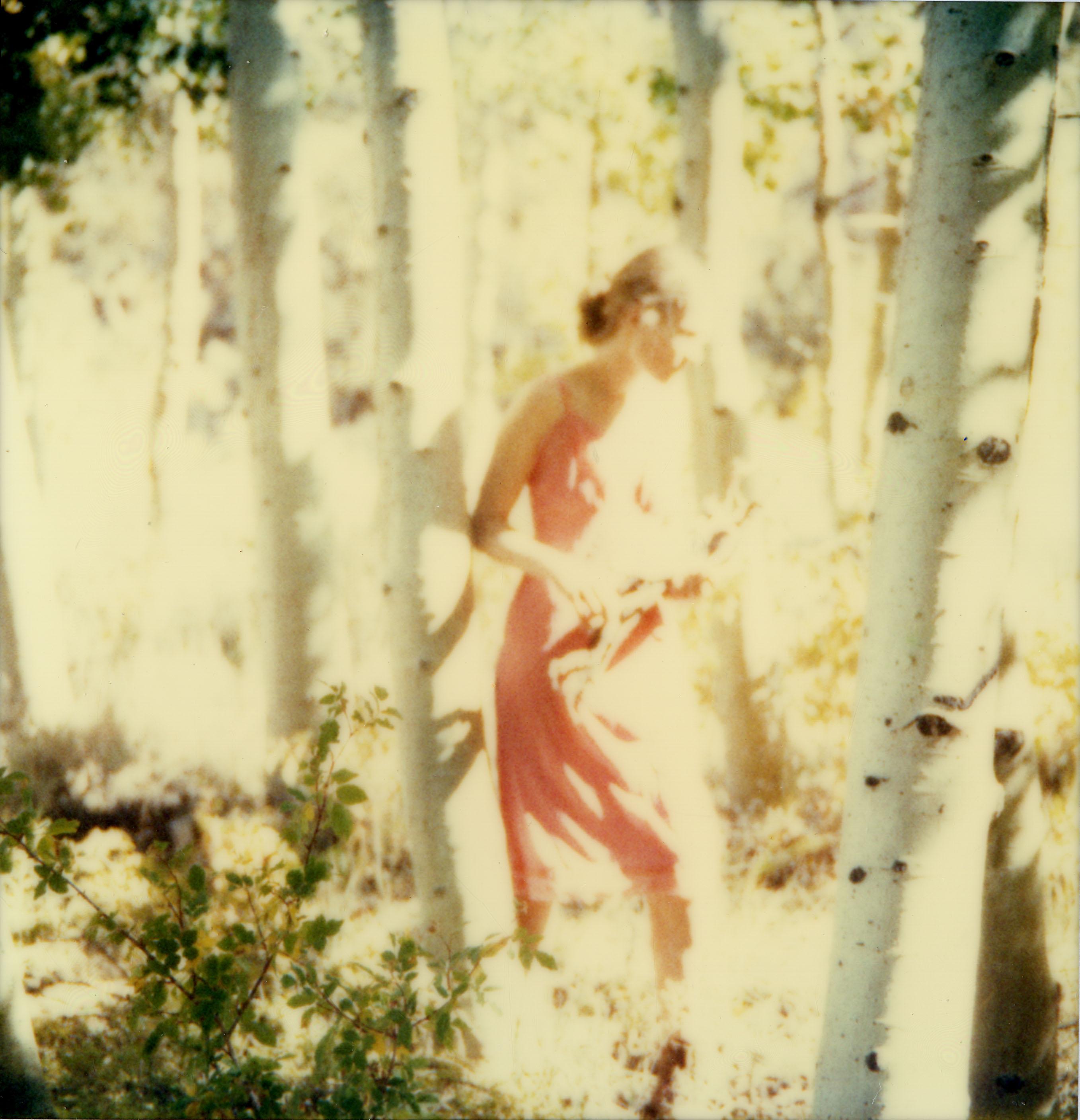 Indian Summer V  (The Last Picture Show)