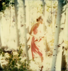 V.I.I.  (La dernière photo)