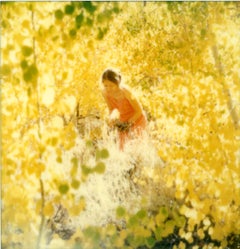 Altweibersommer VI  (Die letzte Bilderausstellung)