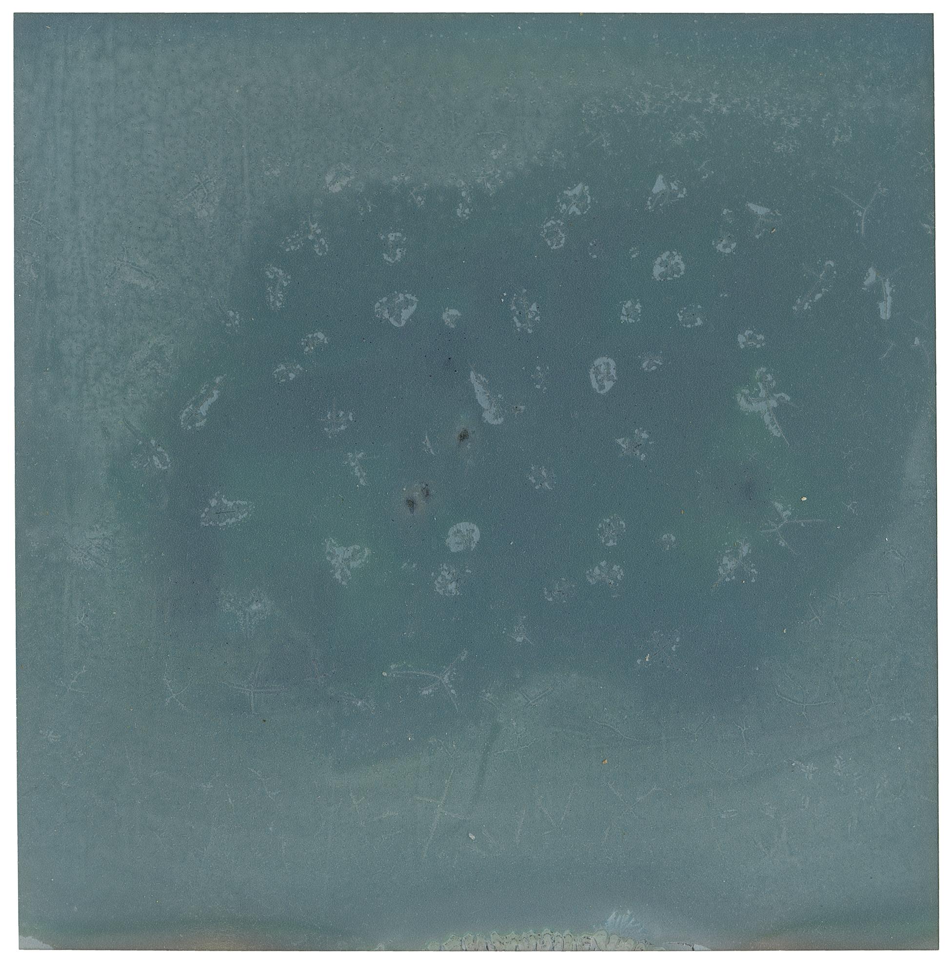 Landscape Photograph de Stefanie Schneider - Hacia el cielo (deconstructivismo) - Polaroid contemporánea, caducada