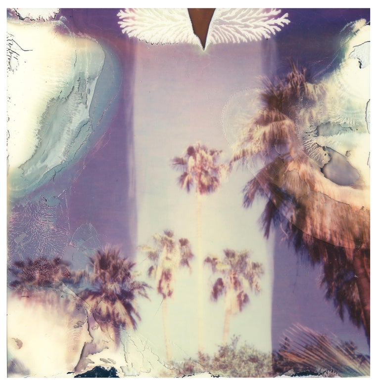Stefanie Schneider Color Photograph - Jimi Hendrix Palm Trees (Californication) - Contemporary, Landscape, Polaroid