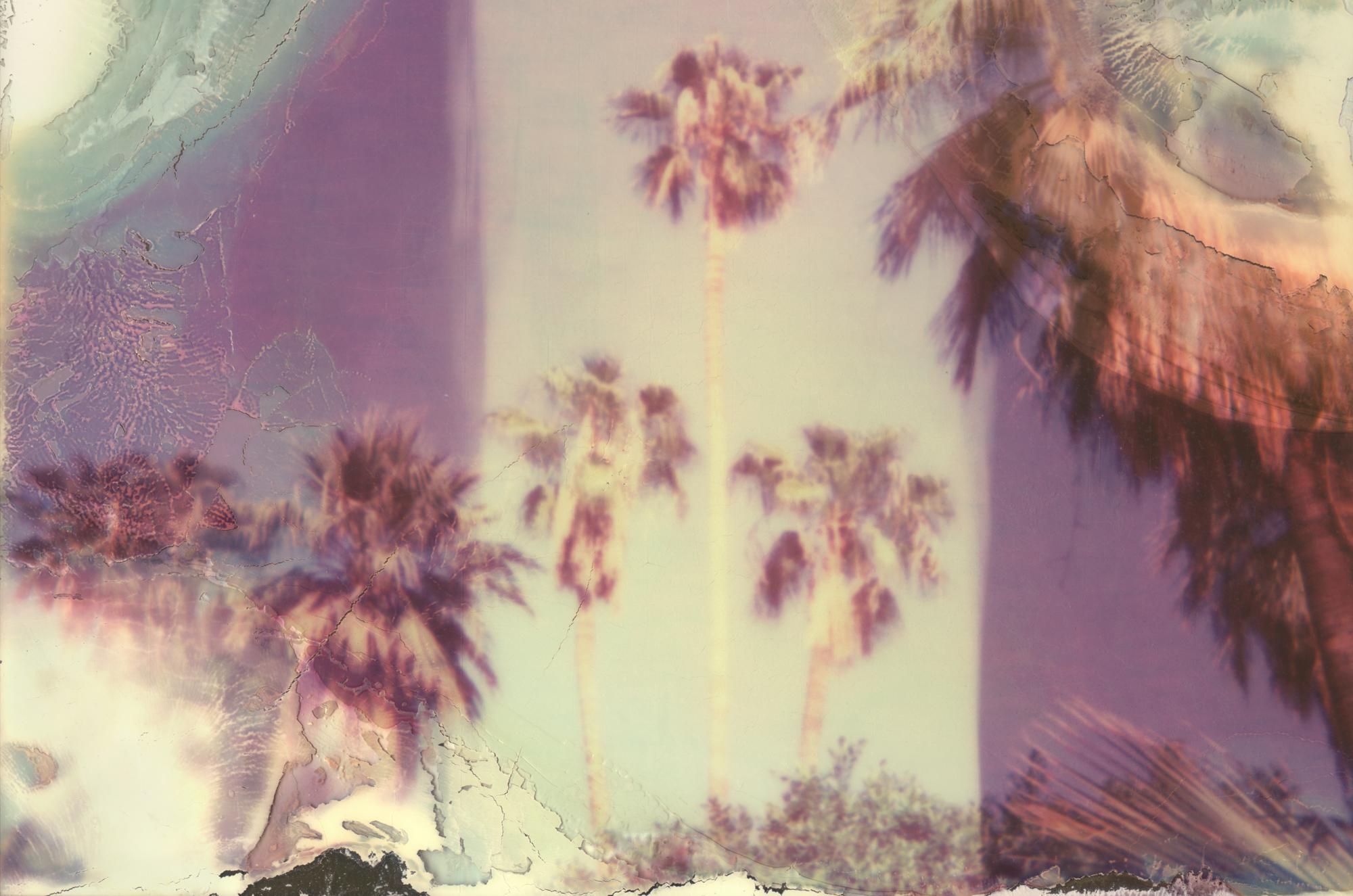 Stefanie Schneider Color Photograph - Jimi Hendrix Palm Trees (Californication) - Contemporary, Landscape, Polaroid