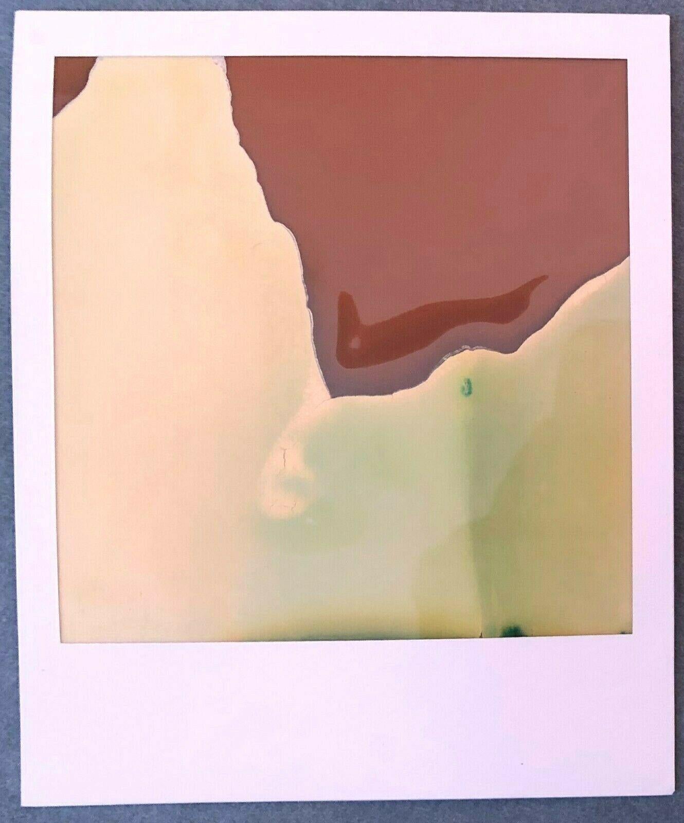 Jules and Jim - abstract, diptych- 2 Original Polaroids - Unique Pieces - Photograph by Stefanie Schneider