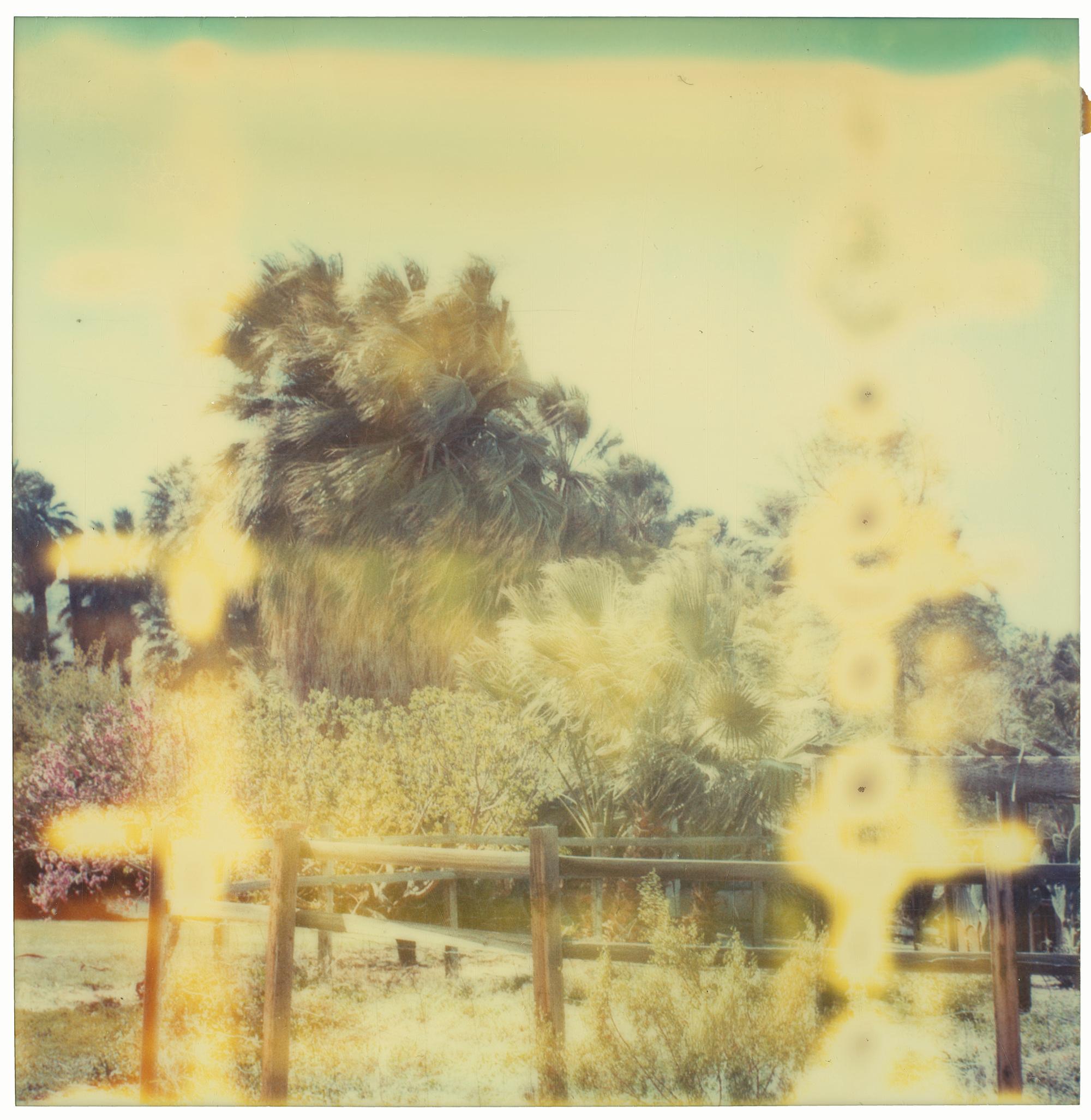 Stefanie Schneider Landscape Photograph - Kaleidoscope (Till Death do us Part) - Contemporary, Polaroid