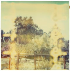 Kaleidoscope (Till Death do us Part) - Contemporary, Polaroid