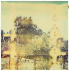 Caleidoscopio (Hasta que la muerte nos separe) - Contemporáneo, Polaroid