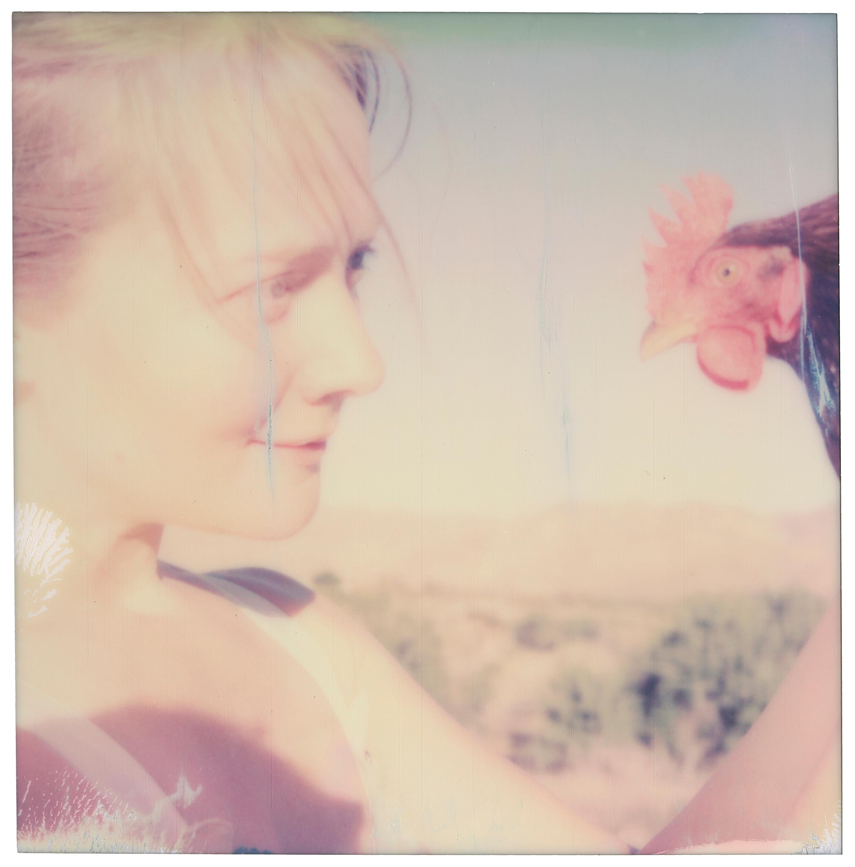 Color Photograph de Stefanie Schneider - Mariquita (Pollitos y pollitos y a veces gallos)