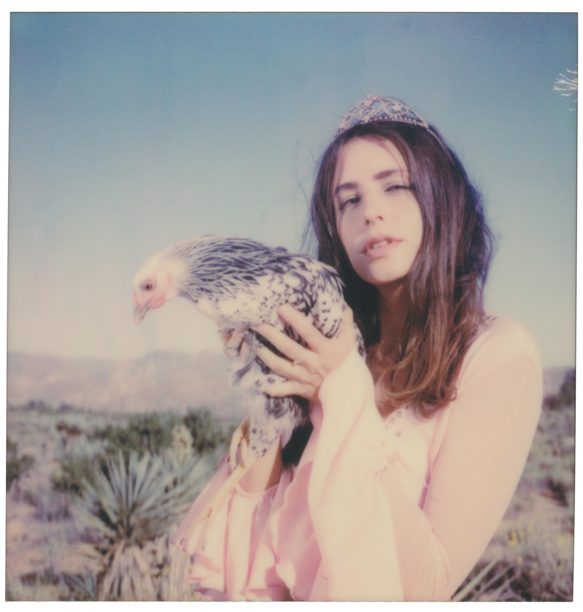 Stefanie Schneider Color Photograph – Vogelkäfig (Chicks and Chicks and sometimes Cocks)