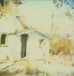 Last Season I (Wastelands) – Polaroid