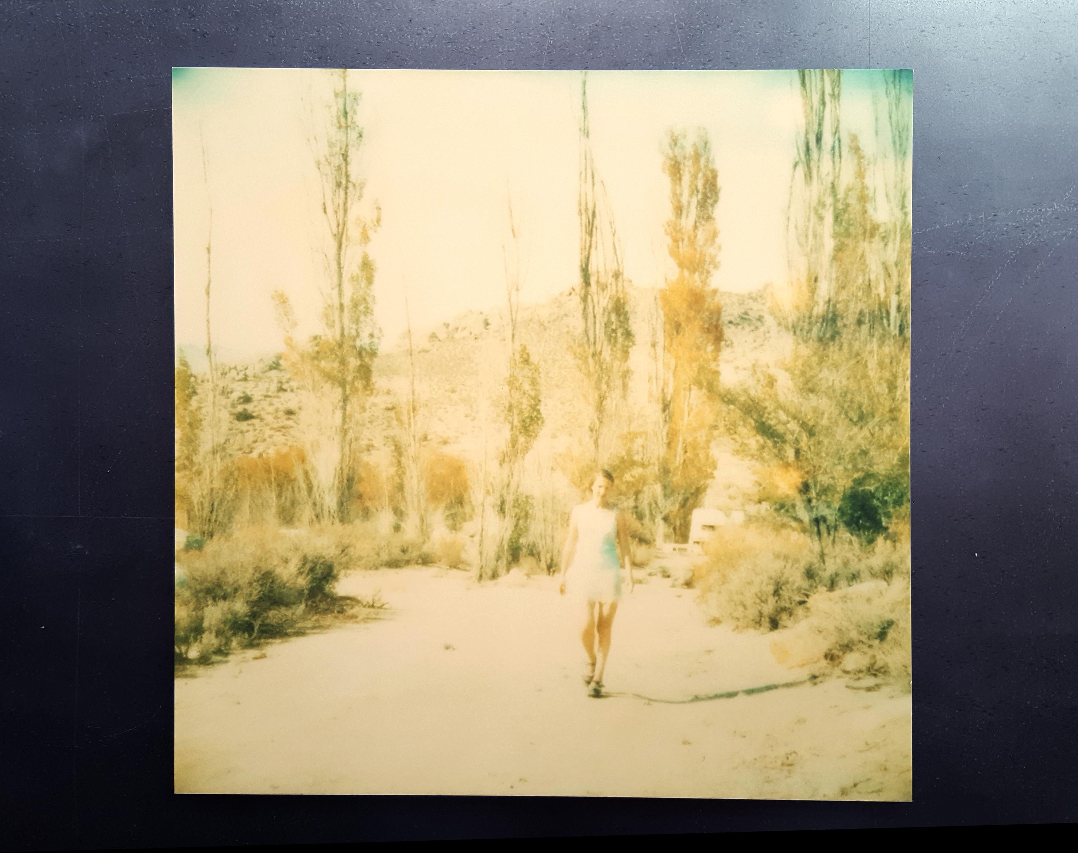 Last Season (Wastelands), diptych, analog, mounted - Beige Color Photograph by Stefanie Schneider