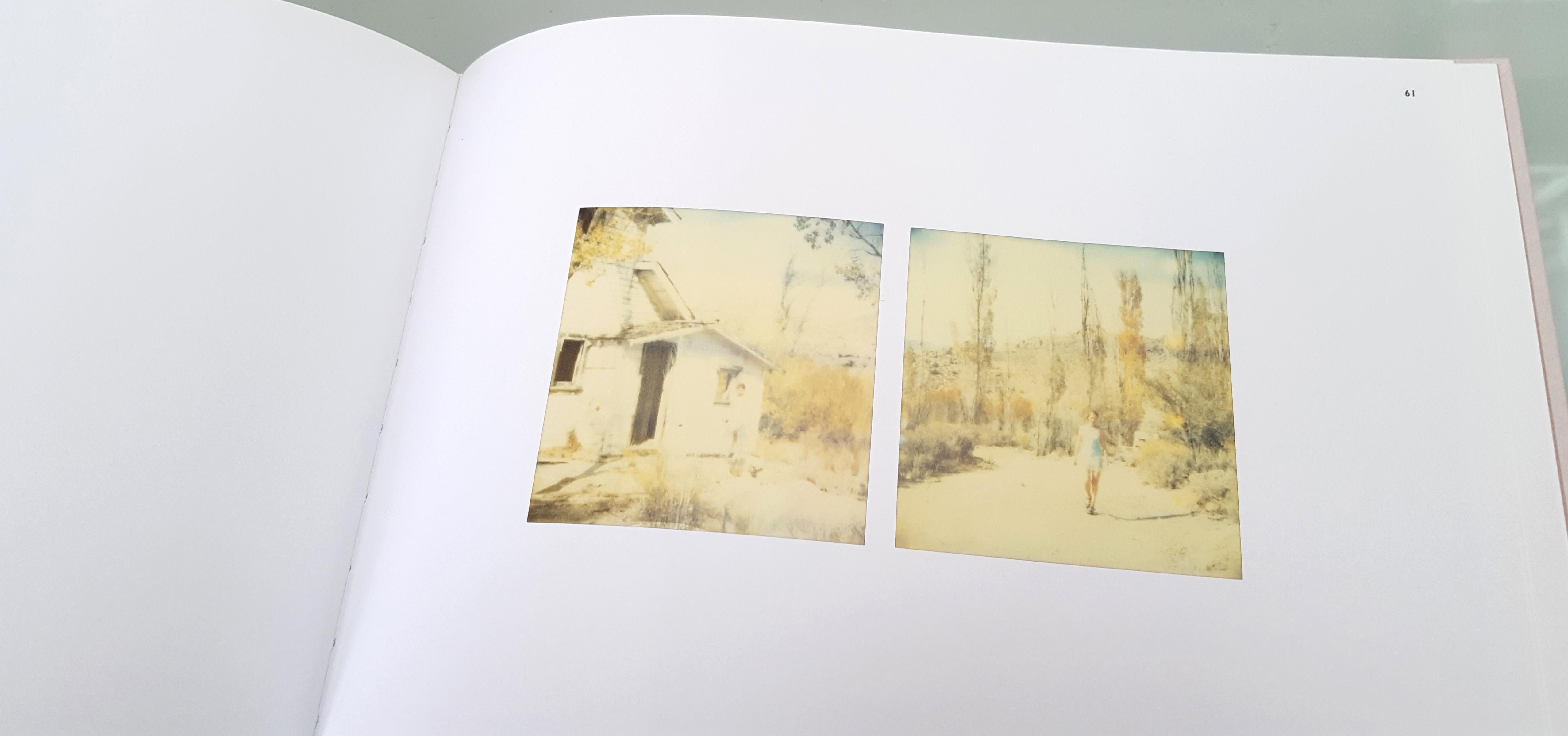 Last Season (Wastelands), diptyque, analogique, monté en vente 6