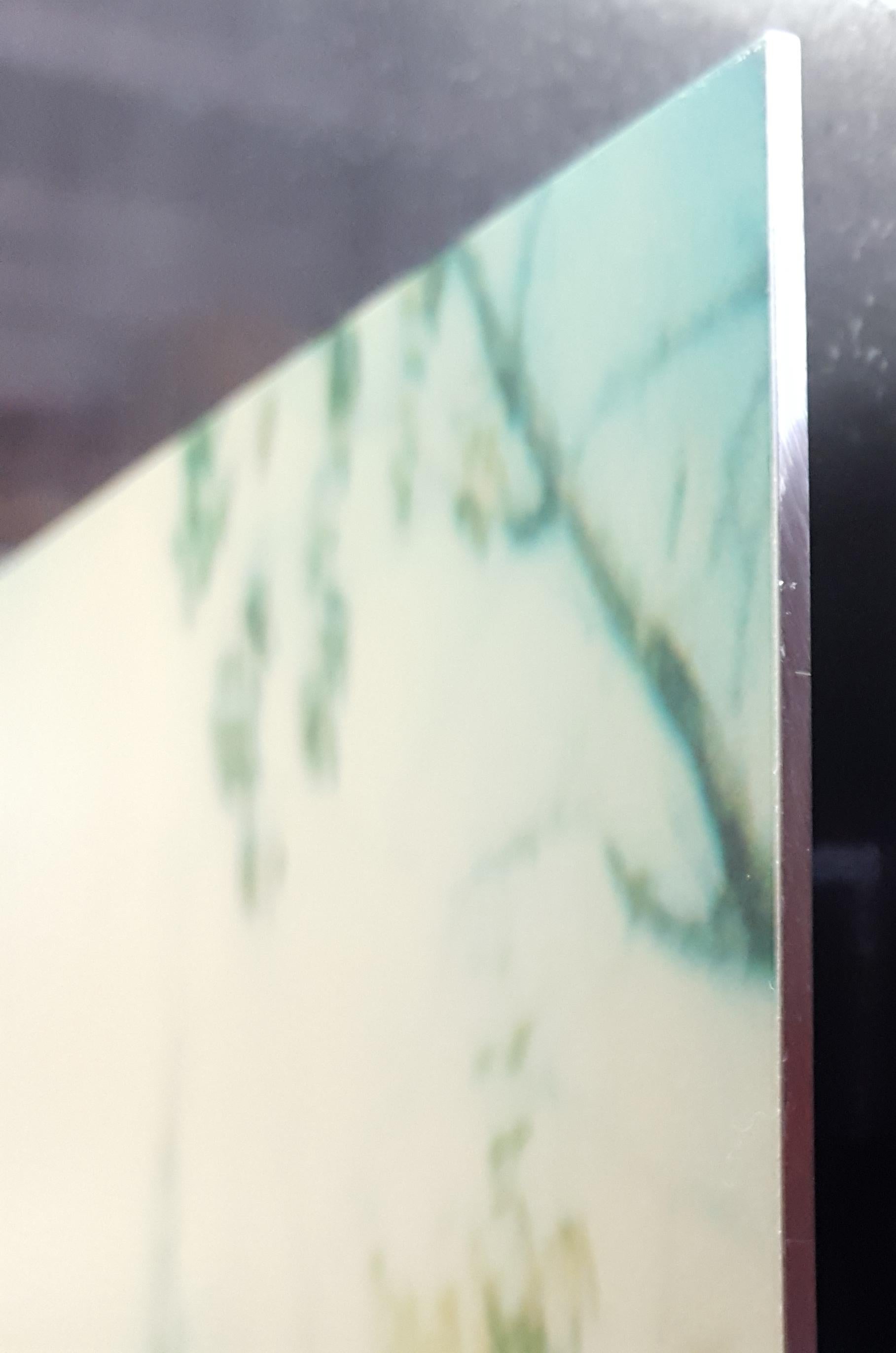 Last Season (Wastelands), dittico, analogico, montato in vendita 1