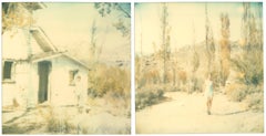 Last Season (Wastelands), diptych, analog, mounted