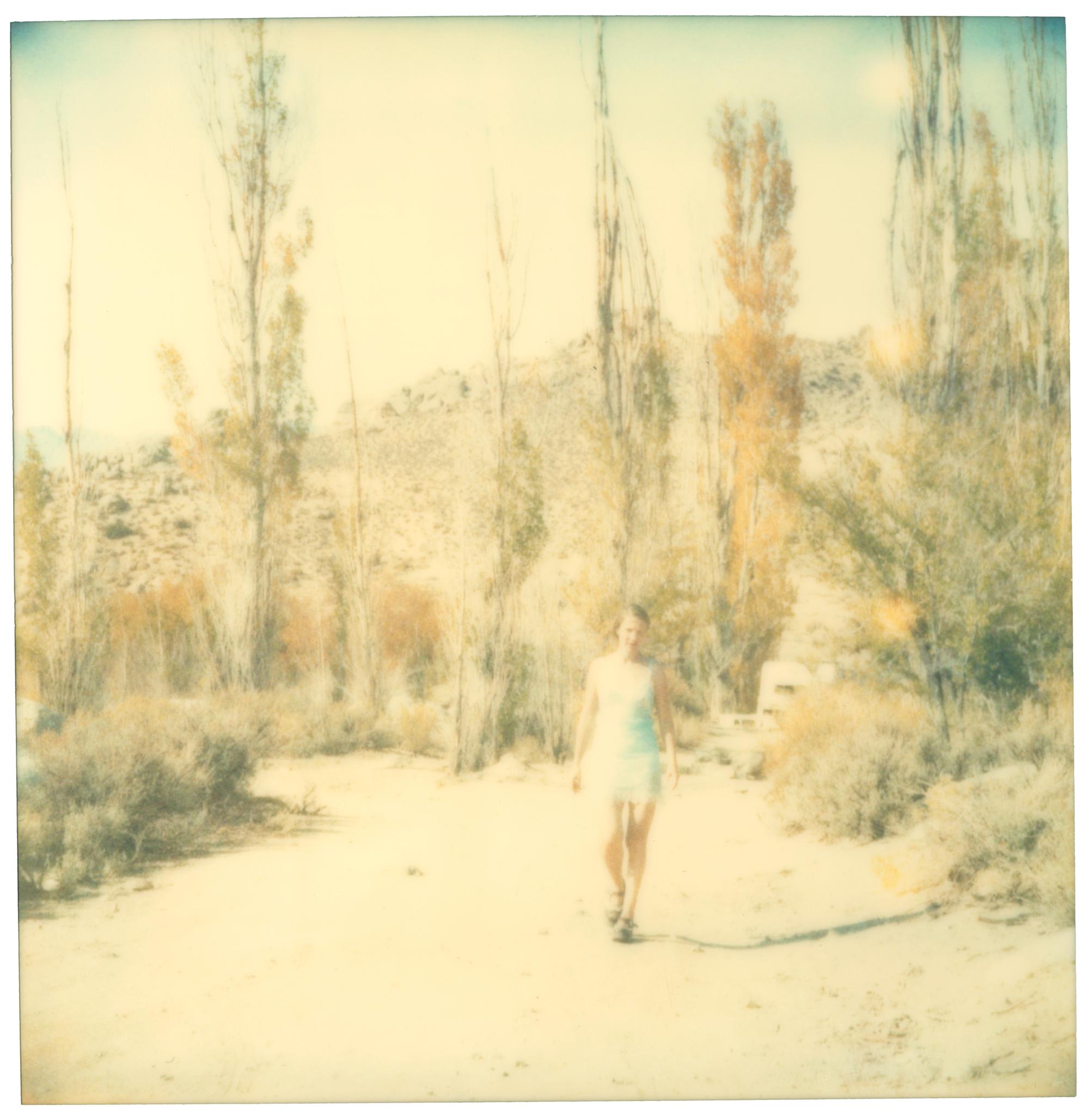 Last Season (Wastelands), Diptychon – Polaroid, abgelaufen. Zeitgenössisch, Farbe – Photograph von Stefanie Schneider