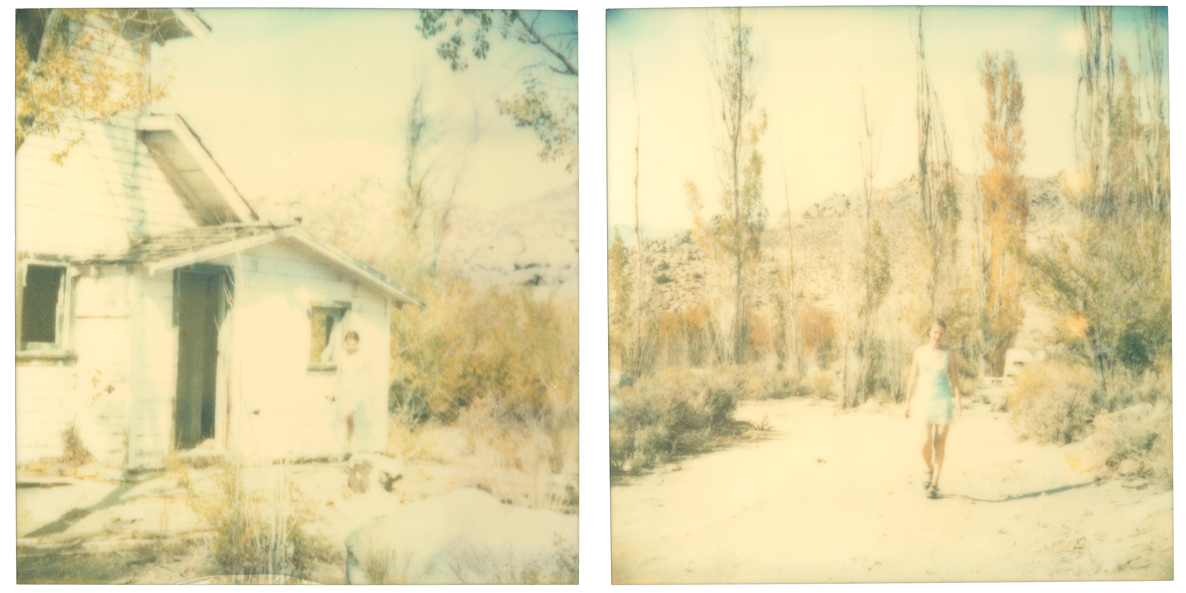 Last Season (Wastelands), diptych - Polaroid, Expired. Contemporary, Color