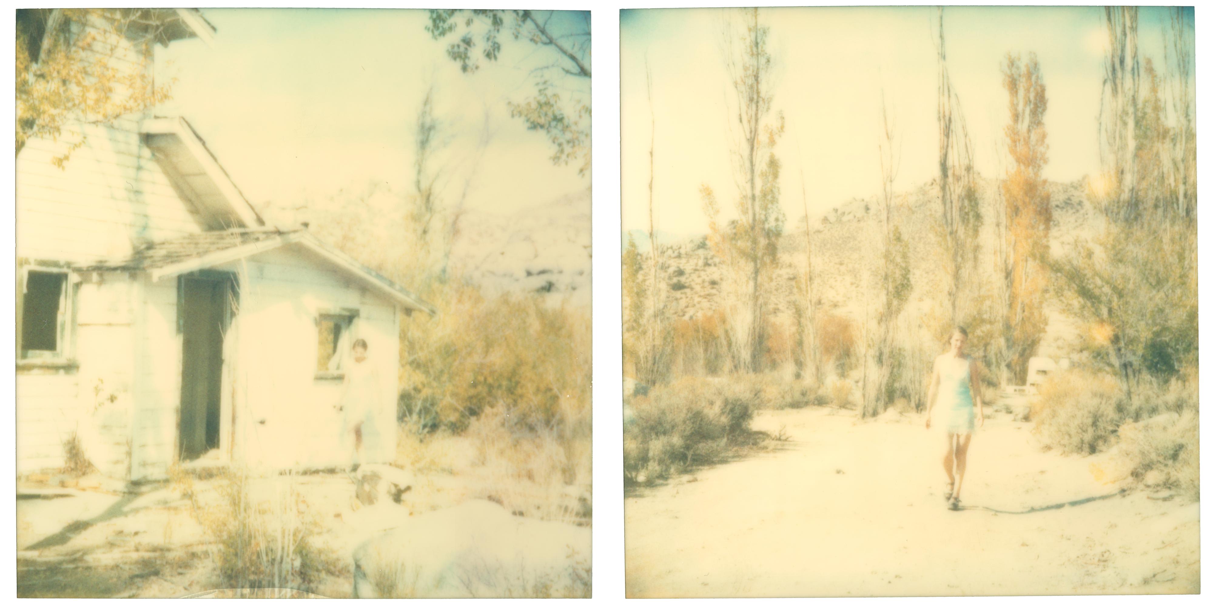Color Photograph Stefanie Schneider - La dernière saison (Wastelands), diptyque - Polaroid, expiré. Contemporain, Couleur