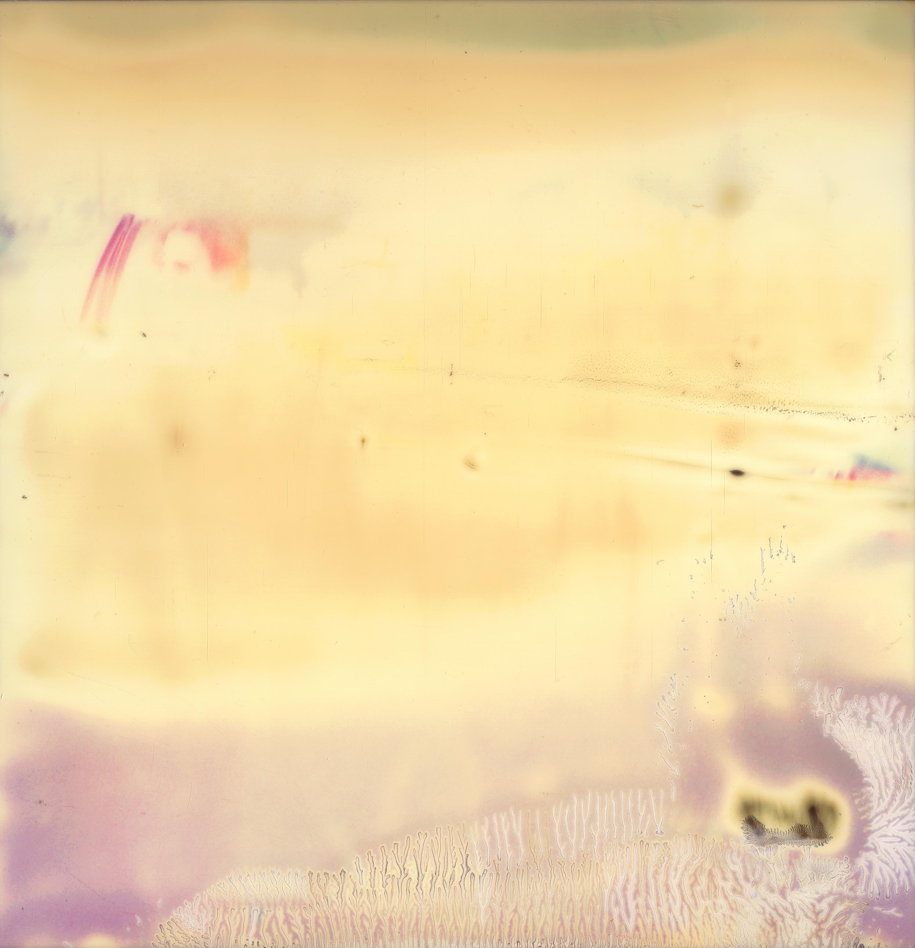Leaving II (Sidewinder) - 8 pezzi - Polaroid, XXI secolo, Contemporaneo in vendita 3