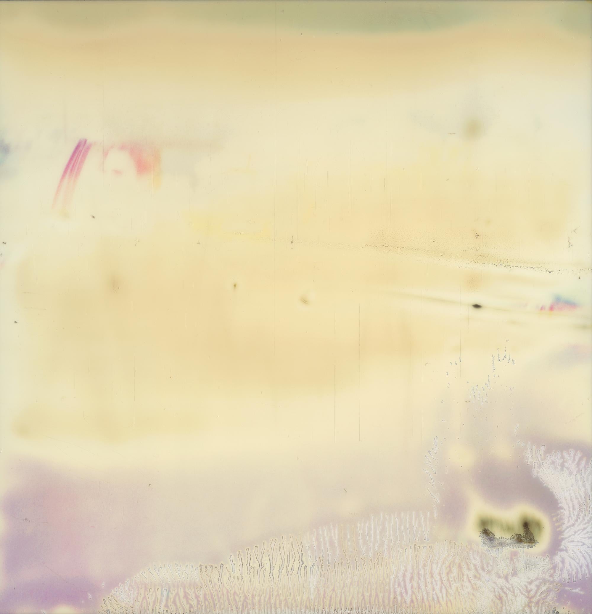Leaving III (Sidewinder) - Polaroid, 21st Century, Contemporary For Sale 3