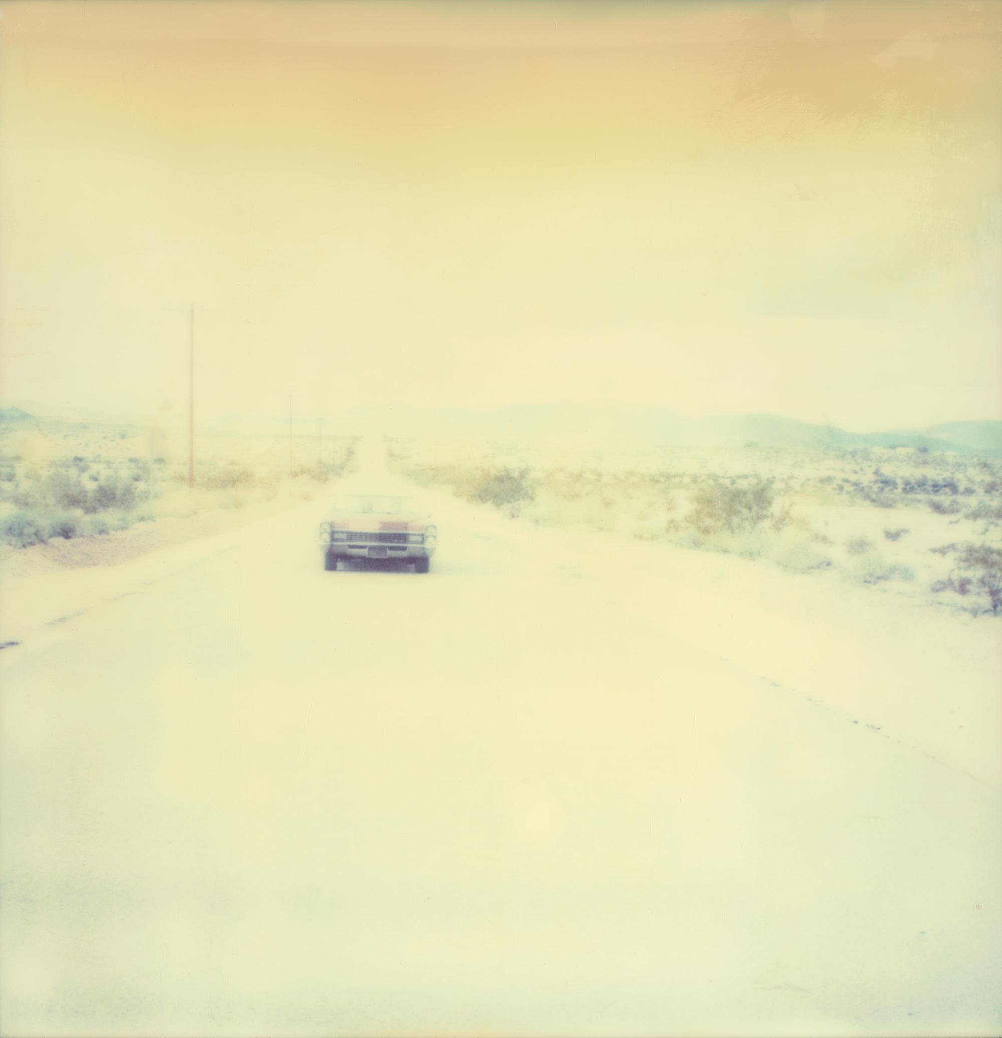 Leaving III (Sidewinder) - Polaroid, 21. Jahrhundert, Contemporary im Angebot 3
