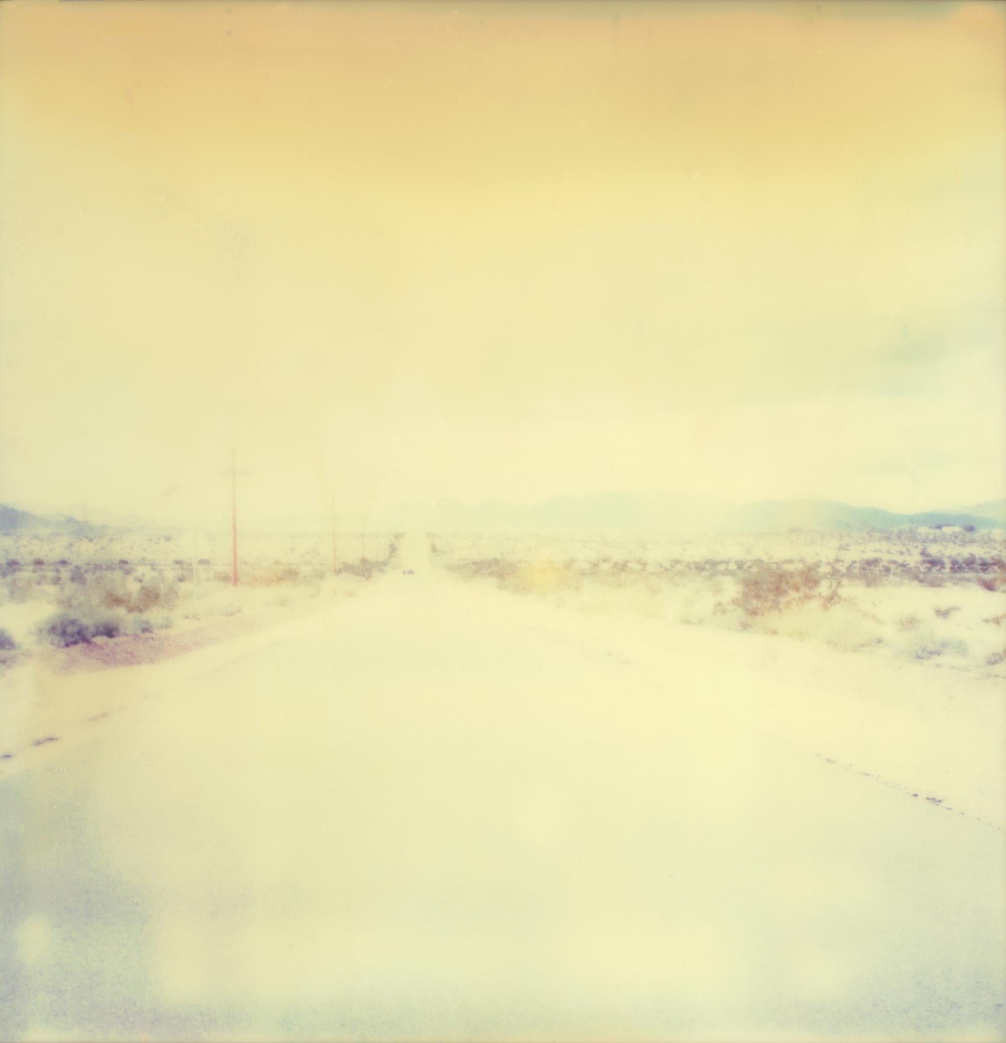 Leaving III (Sidewinder) - Polaroid, 21. Jahrhundert, Contemporary im Angebot 4