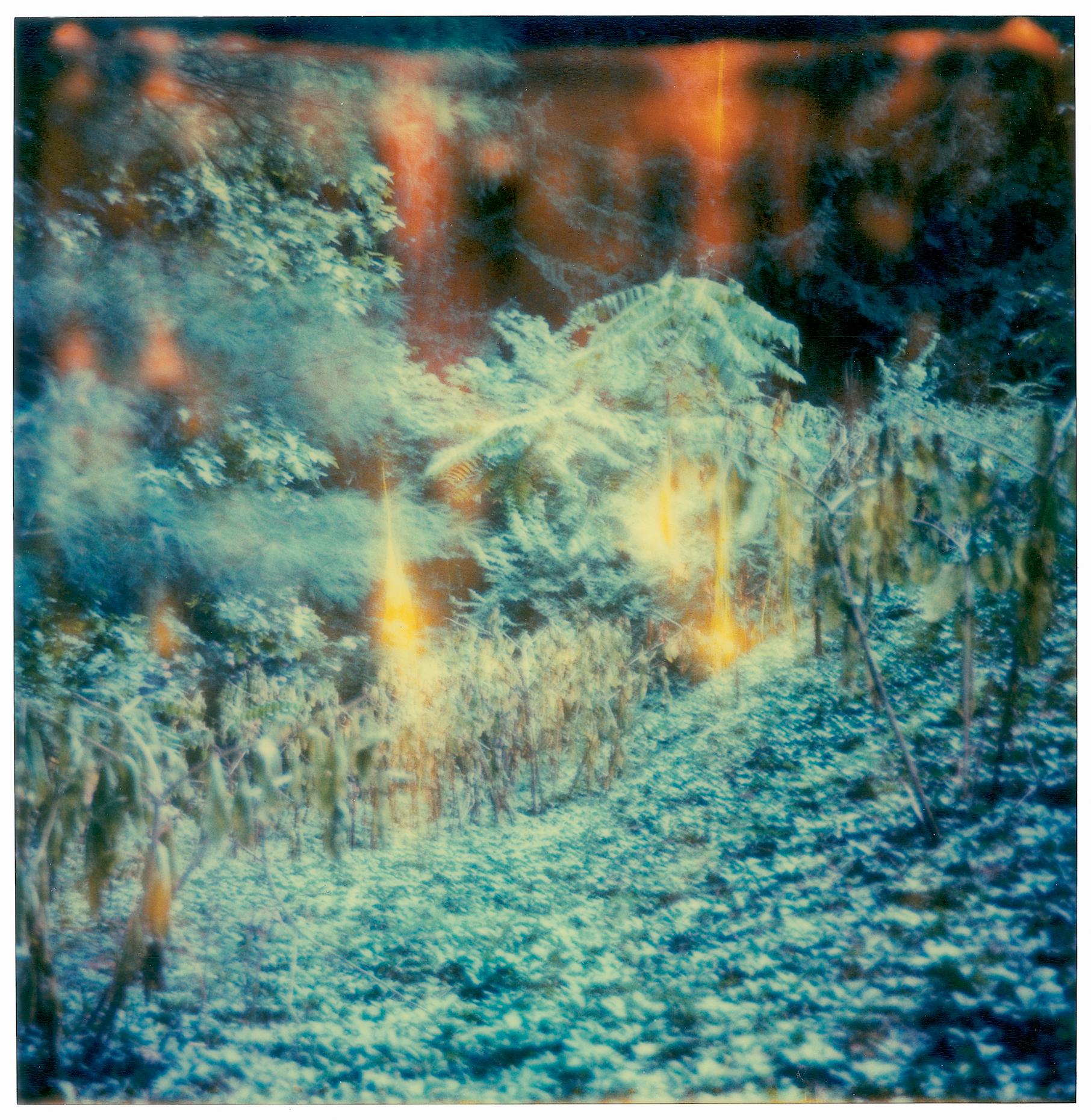 Letham House (Soggiorno) - 21° secolo, Contemporaneo, Polaroid - Photograph di Stefanie Schneider