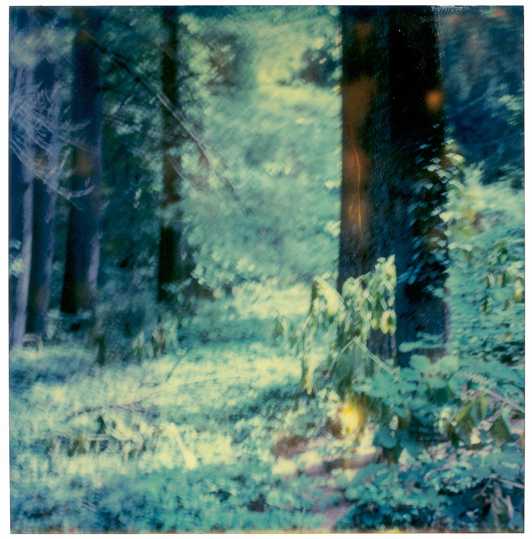 Letham House (Soggiorno) - 21° secolo, Contemporaneo, Polaroid in vendita 1