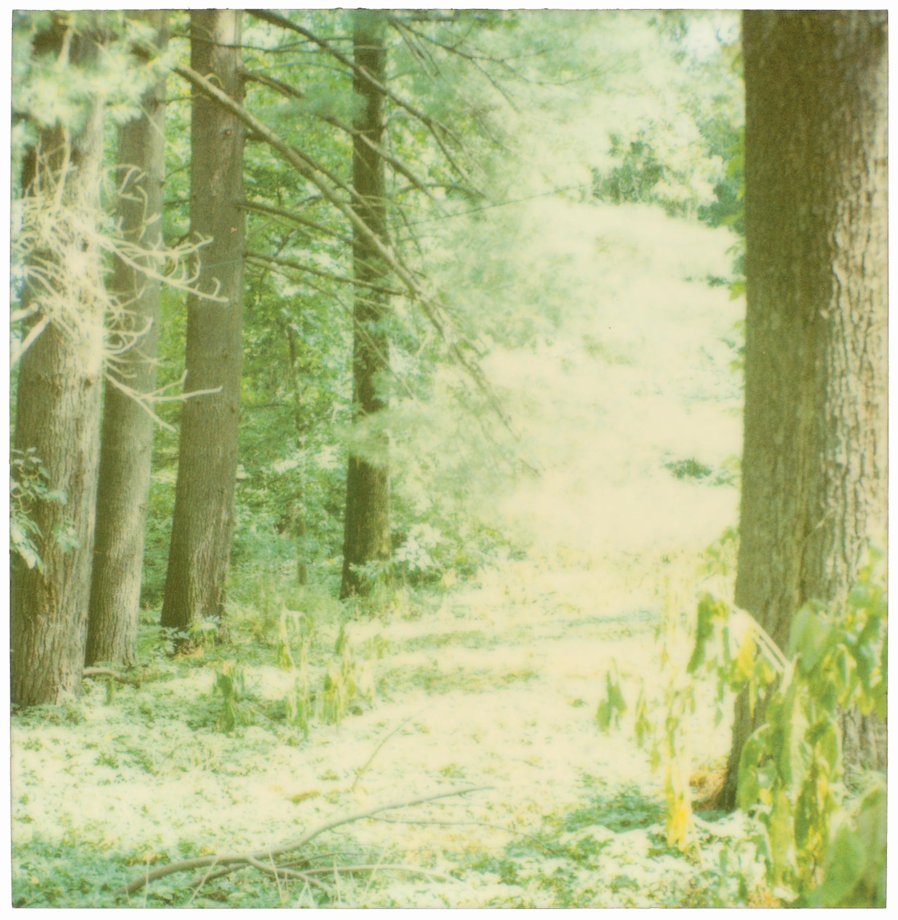 Letham House (Soggiorno) - 21° secolo, Contemporaneo, Polaroid in vendita 2