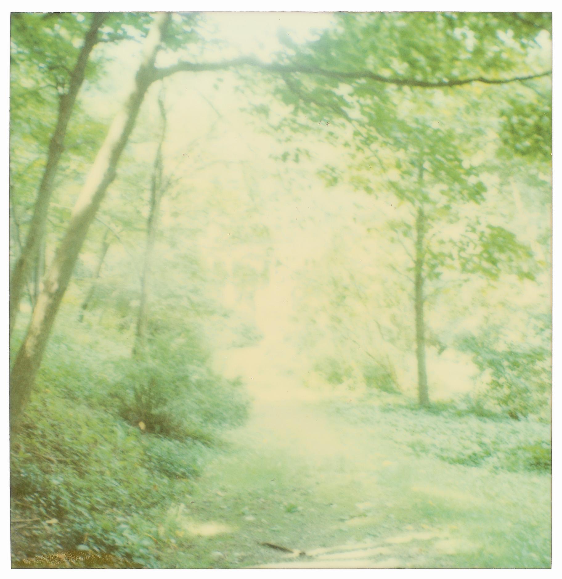 Letham House (Stay) - 21st Century, Contemporary, Polaroid For Sale 3