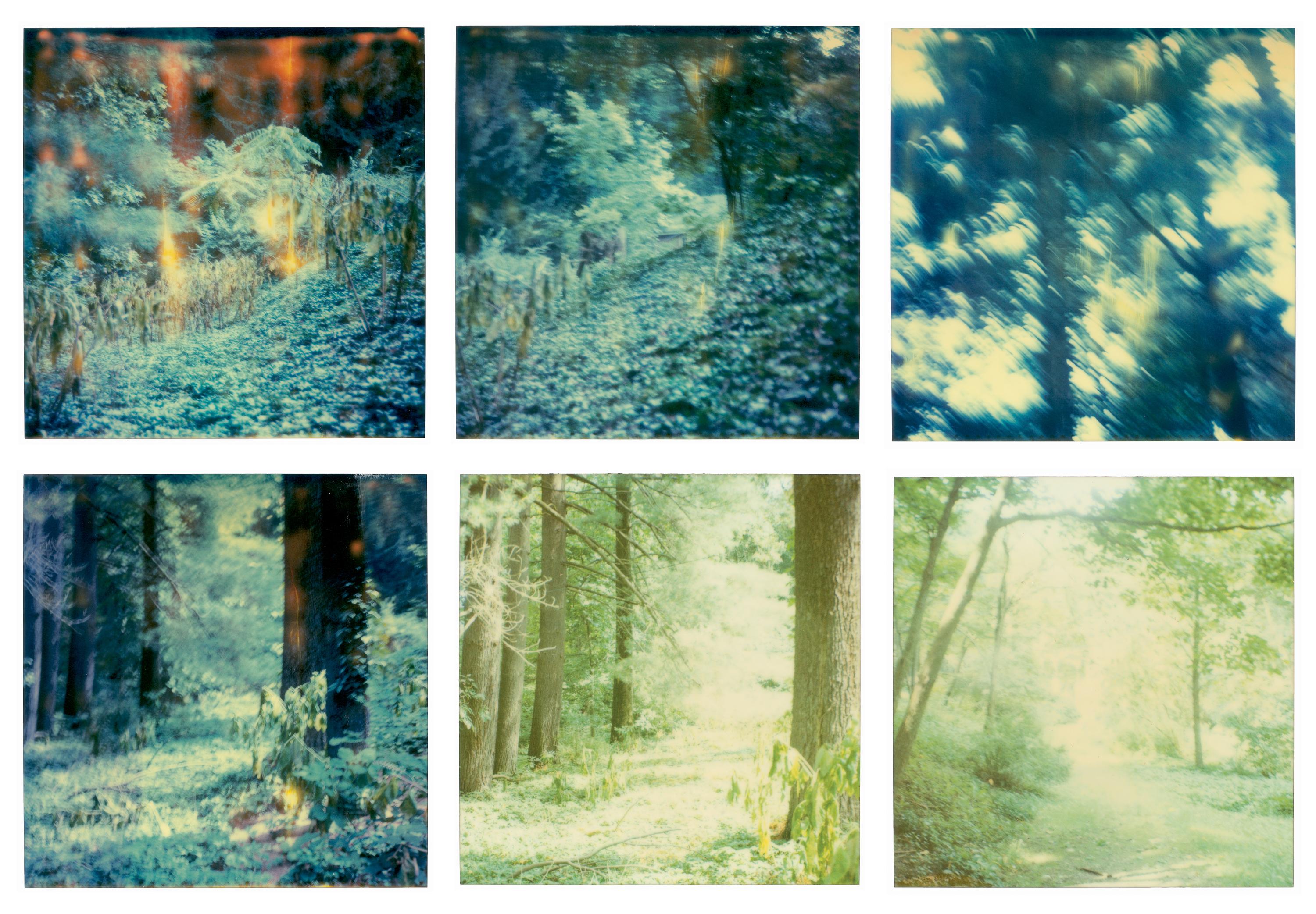 Color Photograph di Stefanie Schneider - Letham House (Soggiorno) - 21° secolo, Contemporaneo, Polaroid