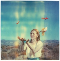 Letting Go (Haley and the Birds)