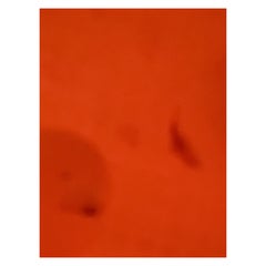 Vita su Marte (Il mio progetto di vita nel deserto) - Schiusa