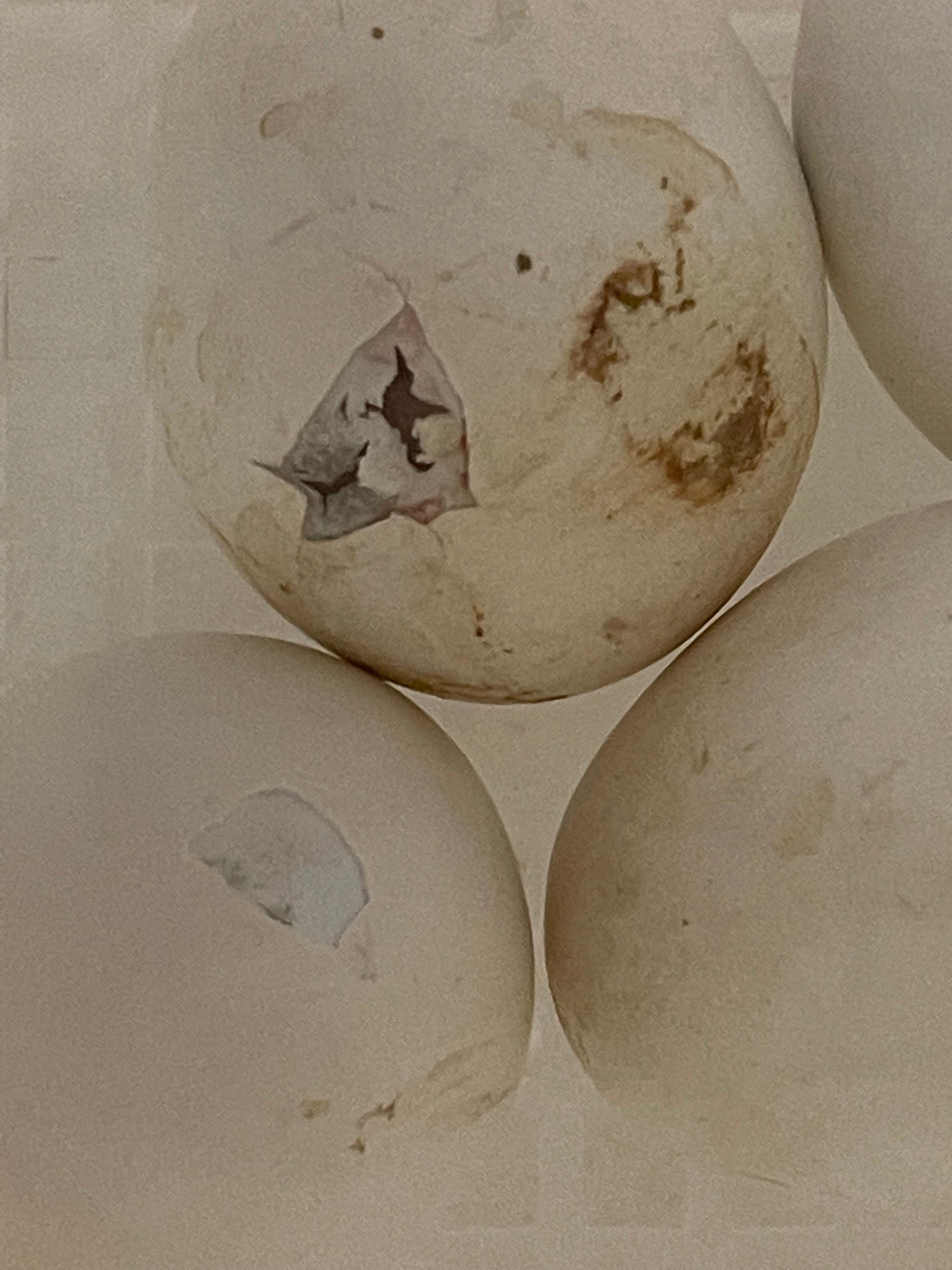 Abstract Photograph de Stefanie Schneider - Vida en Marte (Mi proyecto de vida en el desierto) - Eclosión