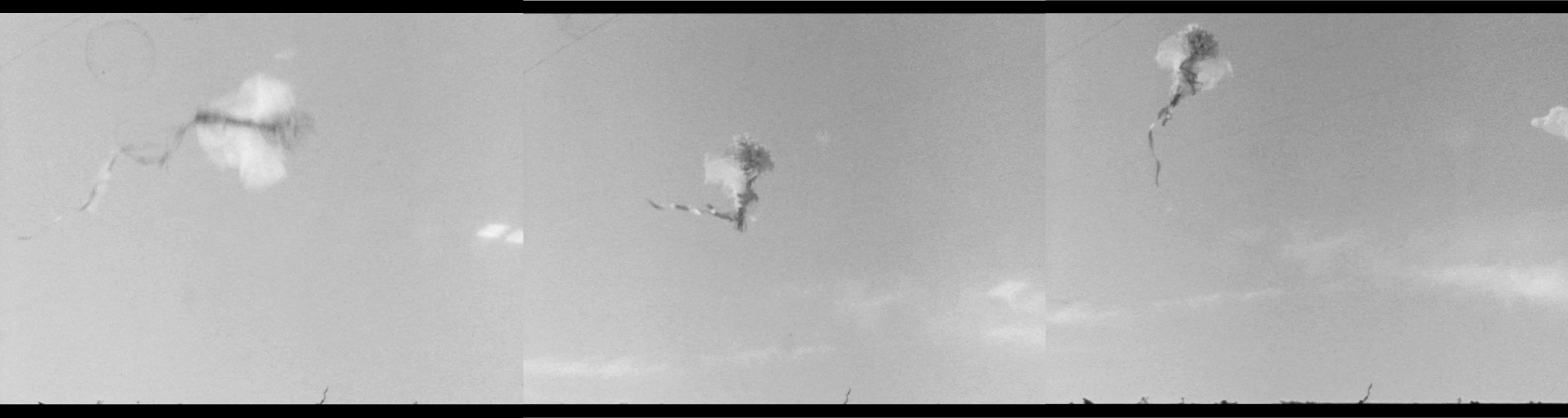 Stefanie Schneider Still-Life Photograph – Like the Wind (Till Death do us Part) - super-8, analog
