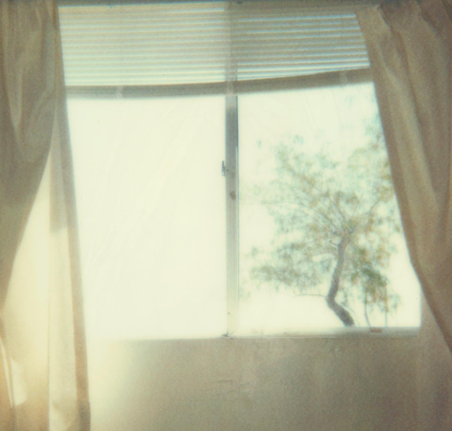 Living Room (29 Palms, CA) - Polaroid, Contemporary For Sale 1