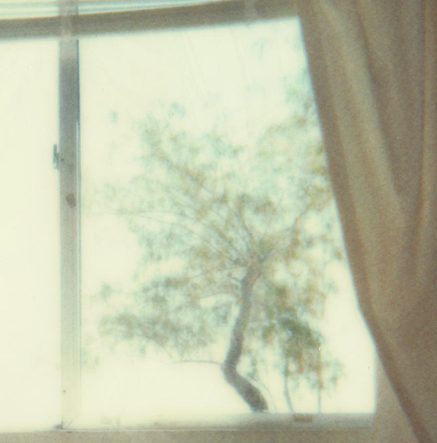 Wohnzimmer (29 Palms, CA) - Polaroid, Contemporary im Angebot 1