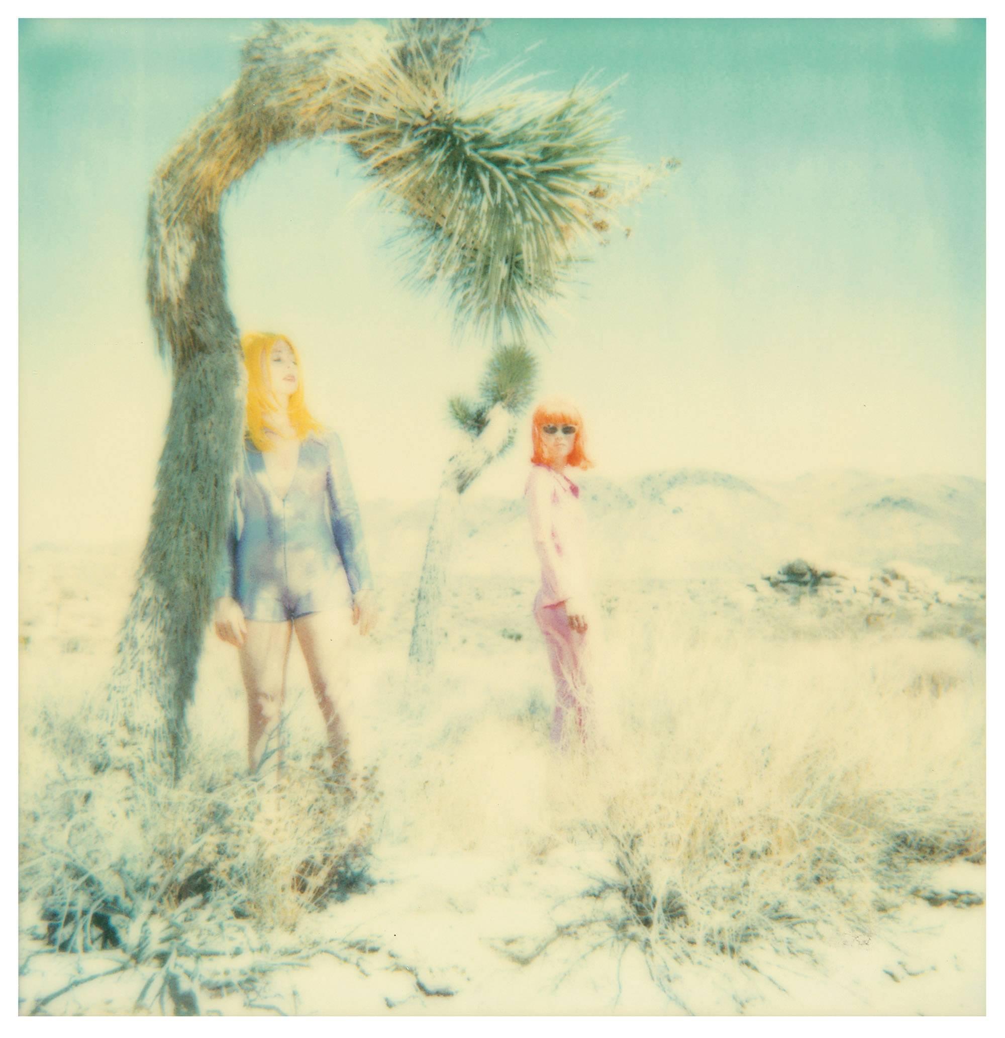 Long Way Home (Stranger than Paradise) - 1999, 

3 x 58x56cm, installed 58x180cm, 
(sold out Edition of 10), this is THE last Artist Proof 3/3. 
3 Analog C-Prints, hand-printed by the artist, based on the 3 Polaroids. 
Certificate and Signature