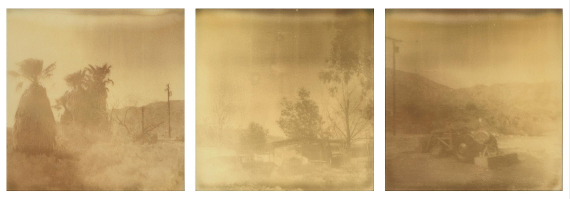 Lost Within (29 Palms, CA) including the book 'A Half Forgotten Dream'