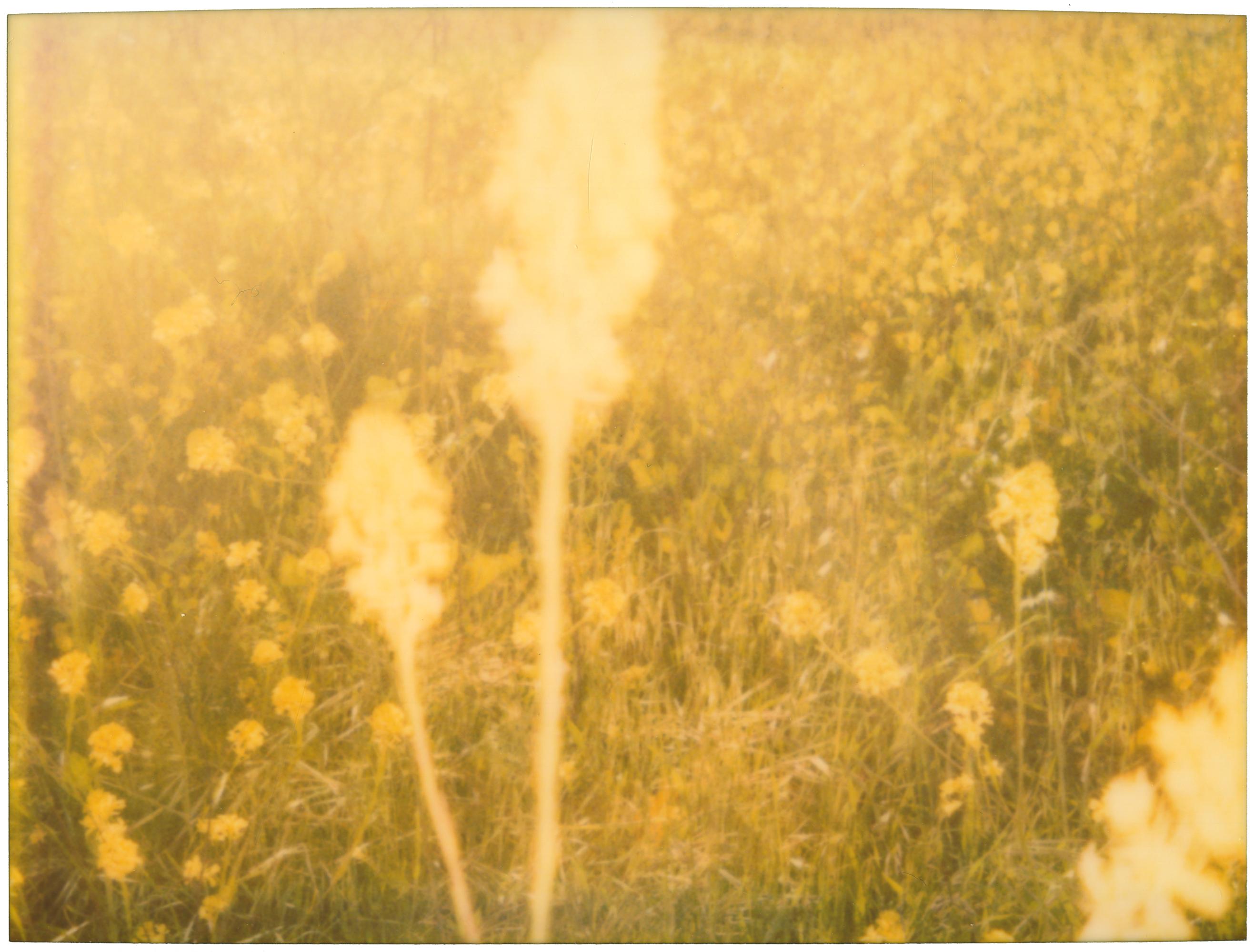 Stefanie Schneider Landscape Photograph - Magic Hour (Musica Poetica)