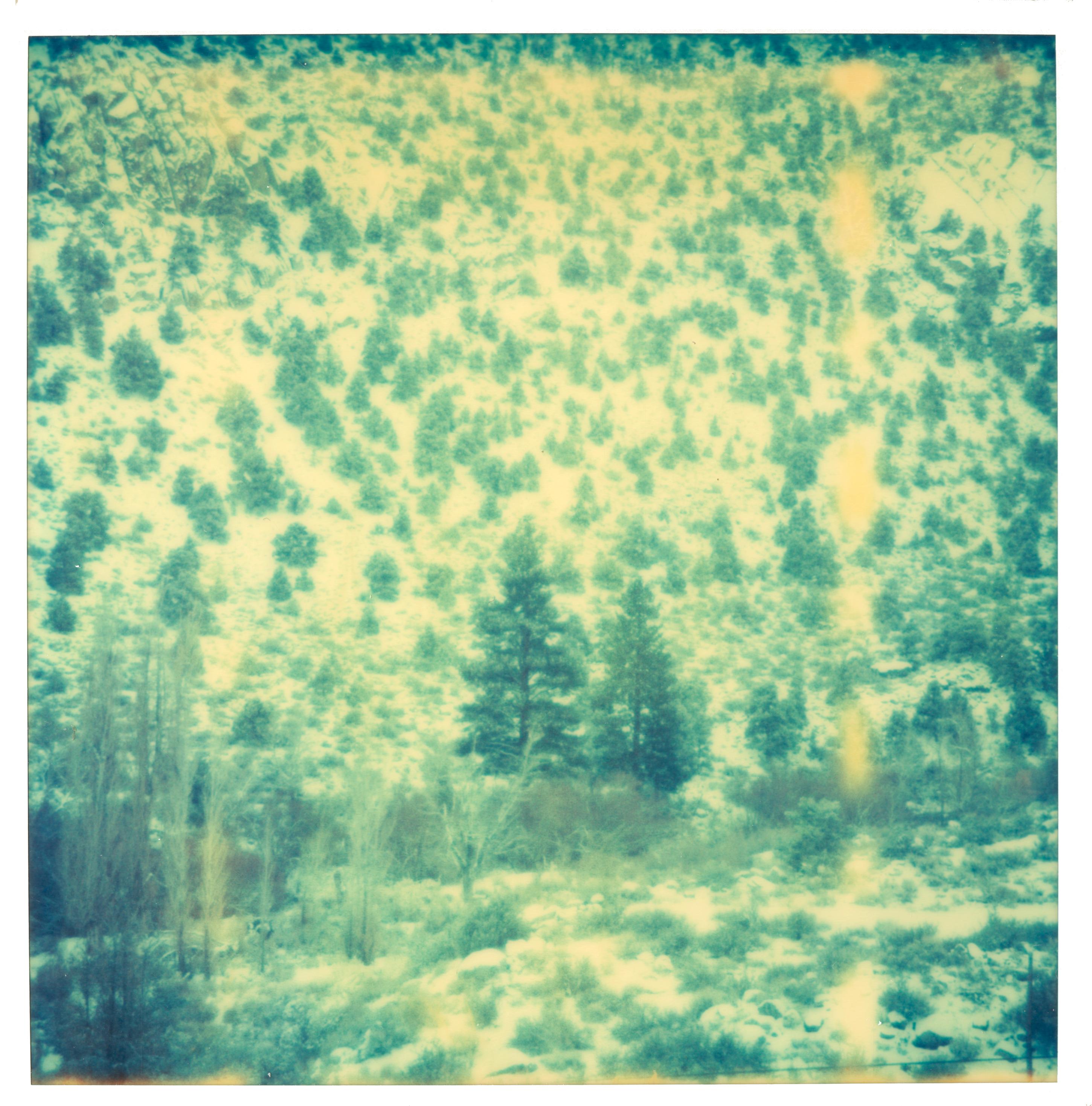 Landscape Photograph Stefanie Schneider - Magic Mountain 1 (Memories of Green) analogique, expiré, paysage