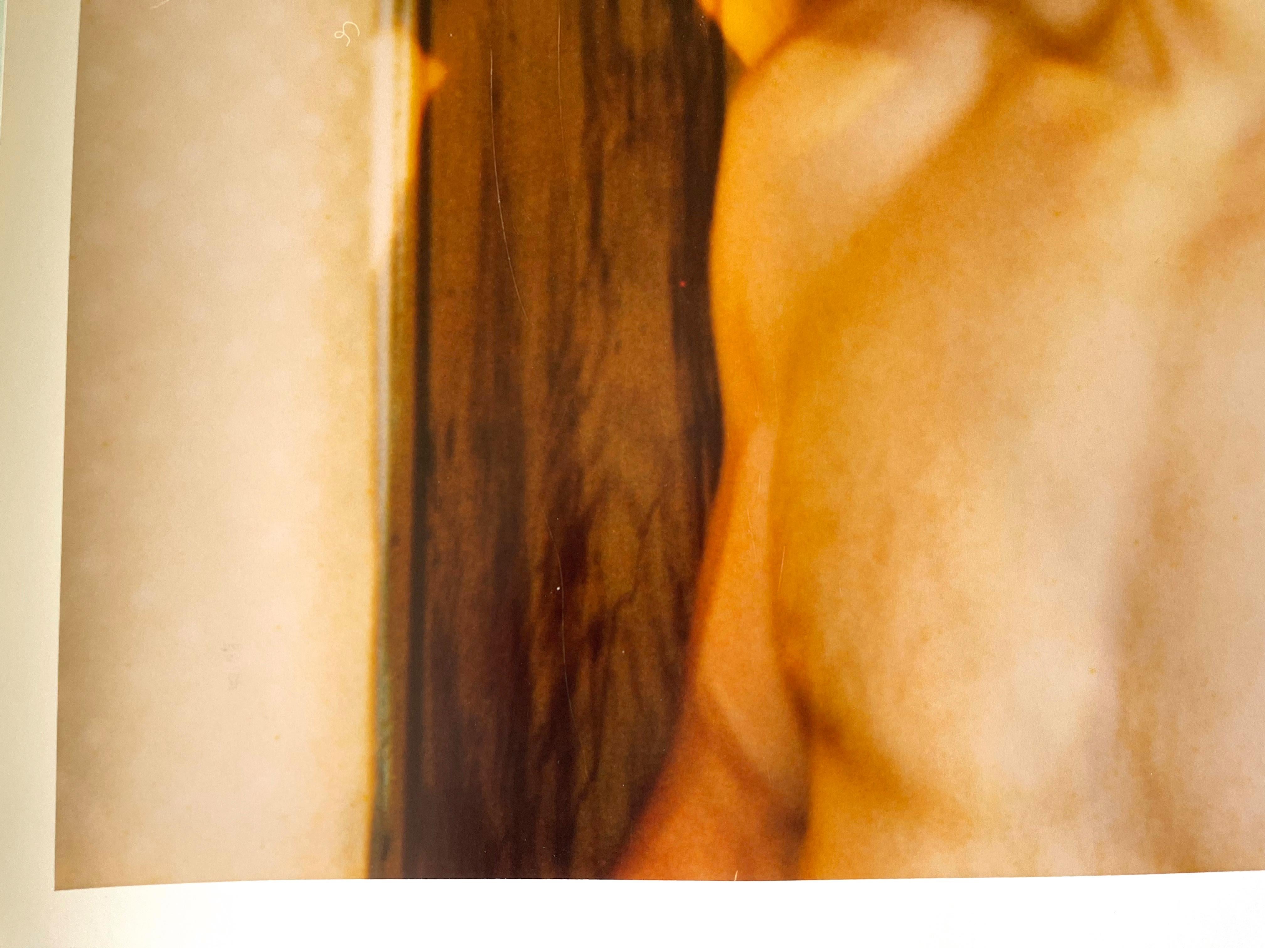 Male Nude (29 Palms, CA) - 58x56cm, analog, Polaroid, Contemporary, 20th Century - Orange Color Photograph by Stefanie Schneider