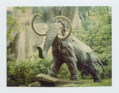 Mammoth - Jardin du Plantes (Paris) - analogique, contemporain