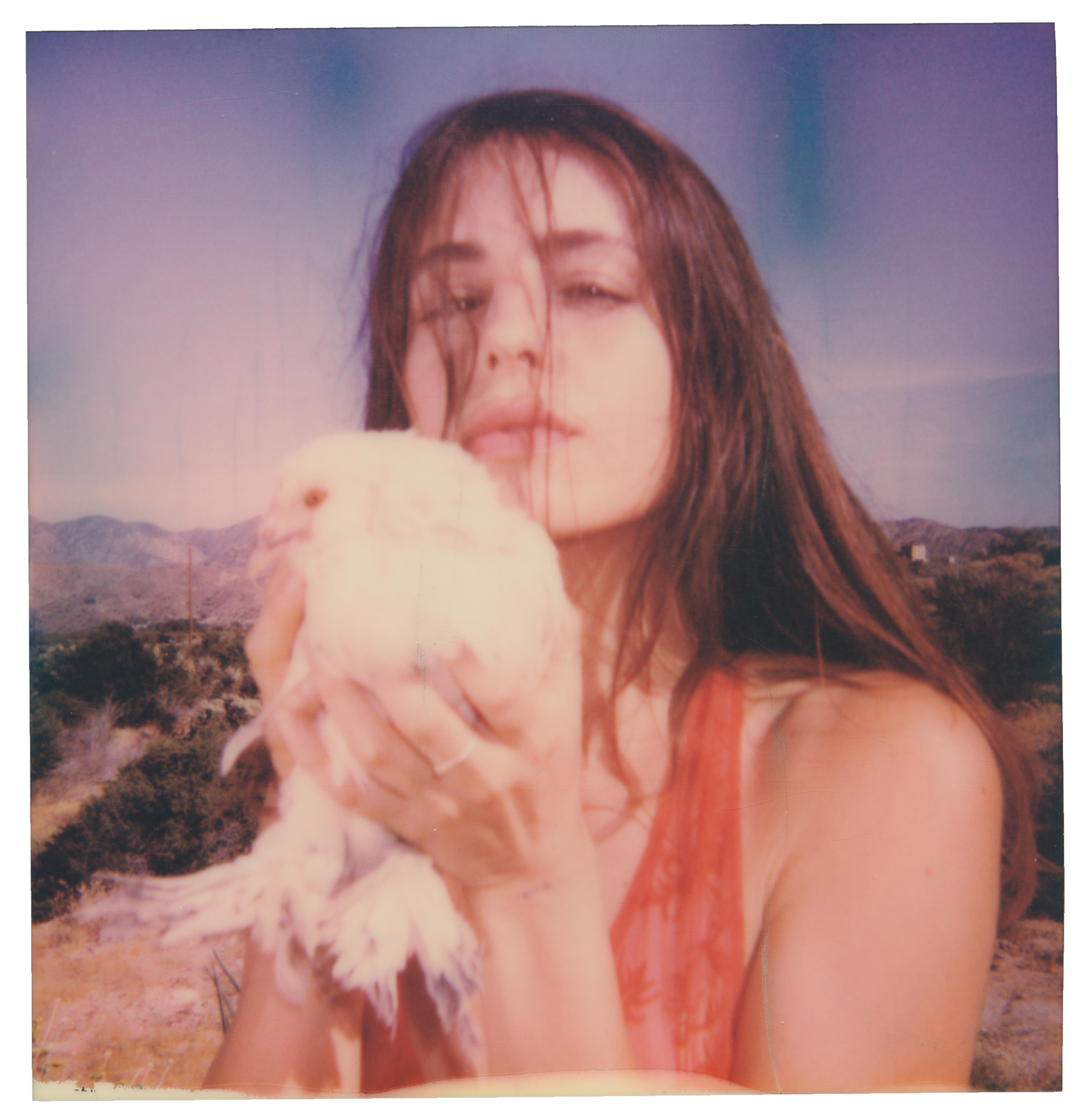 Stefanie Schneider Color Photograph - Matilda (Chicks and Chicks and sometimes Cocks)