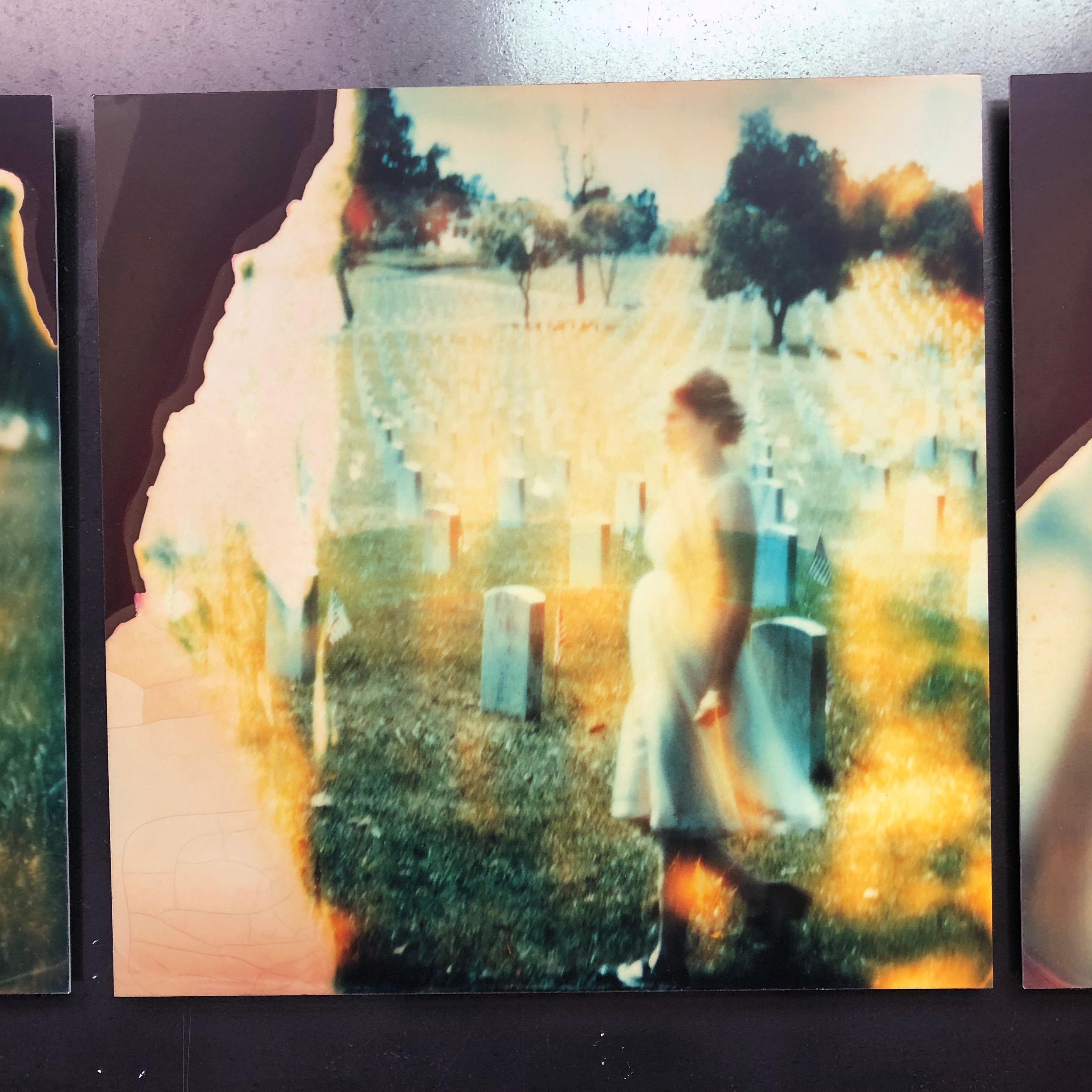 Memorial Day (Stranger than Paradise) - analog, mounted, 7 pieces, 48x352cm 1
