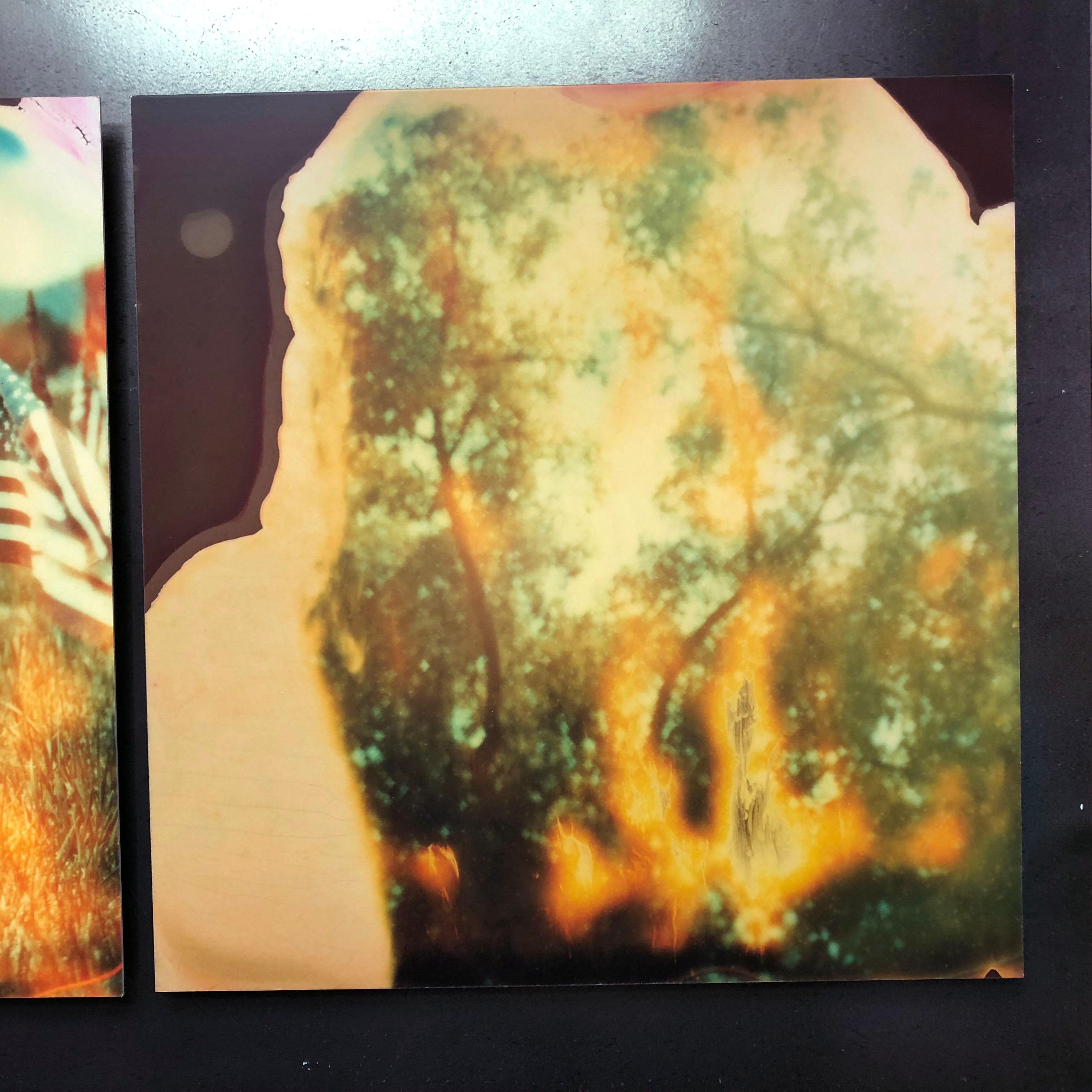 Memorial Day (Stranger than Paradise) - analog, mounted, 7 pieces, 48x352cm 3