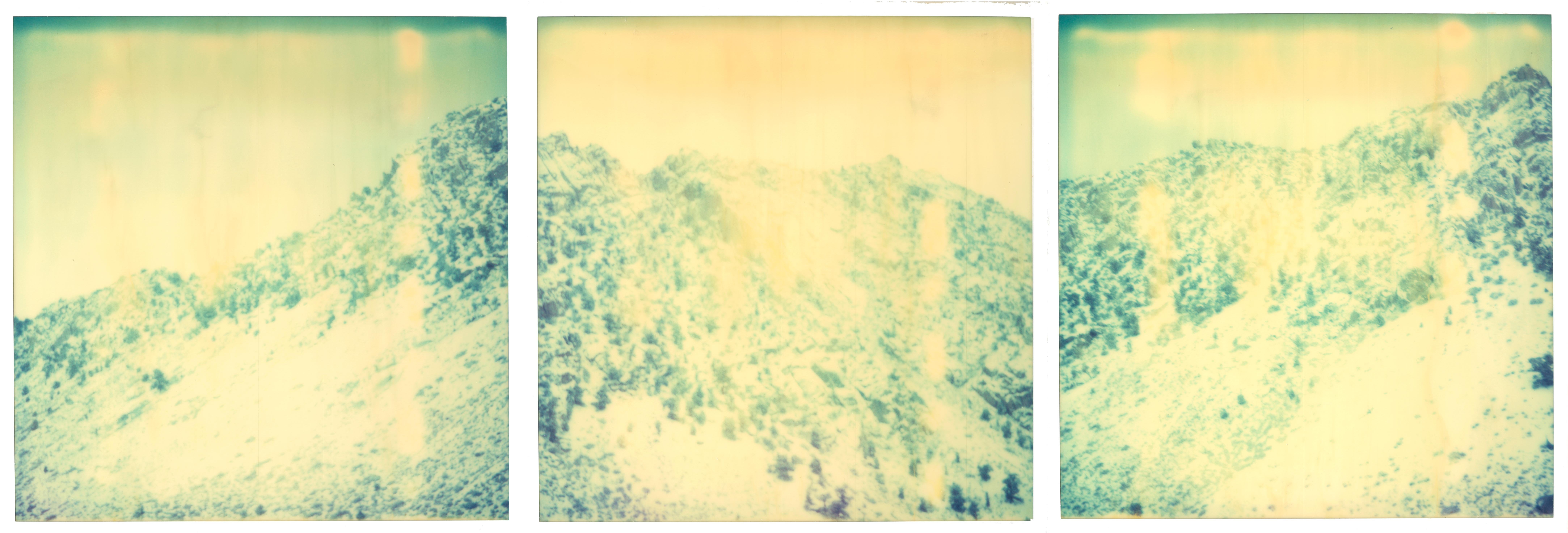 Stefanie Schneider Color Photograph - Memories of Green I, triptych, analog, hand printed, Polaroid