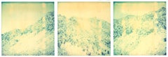 Memories of Green - triptych, analog, 21st Century, Contemporary, Color