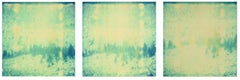 Memories of Green II - triptych, analog, hand-printed, Polaroid