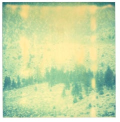 Erinnerungen an Green II, Triptychon, analog, montiert