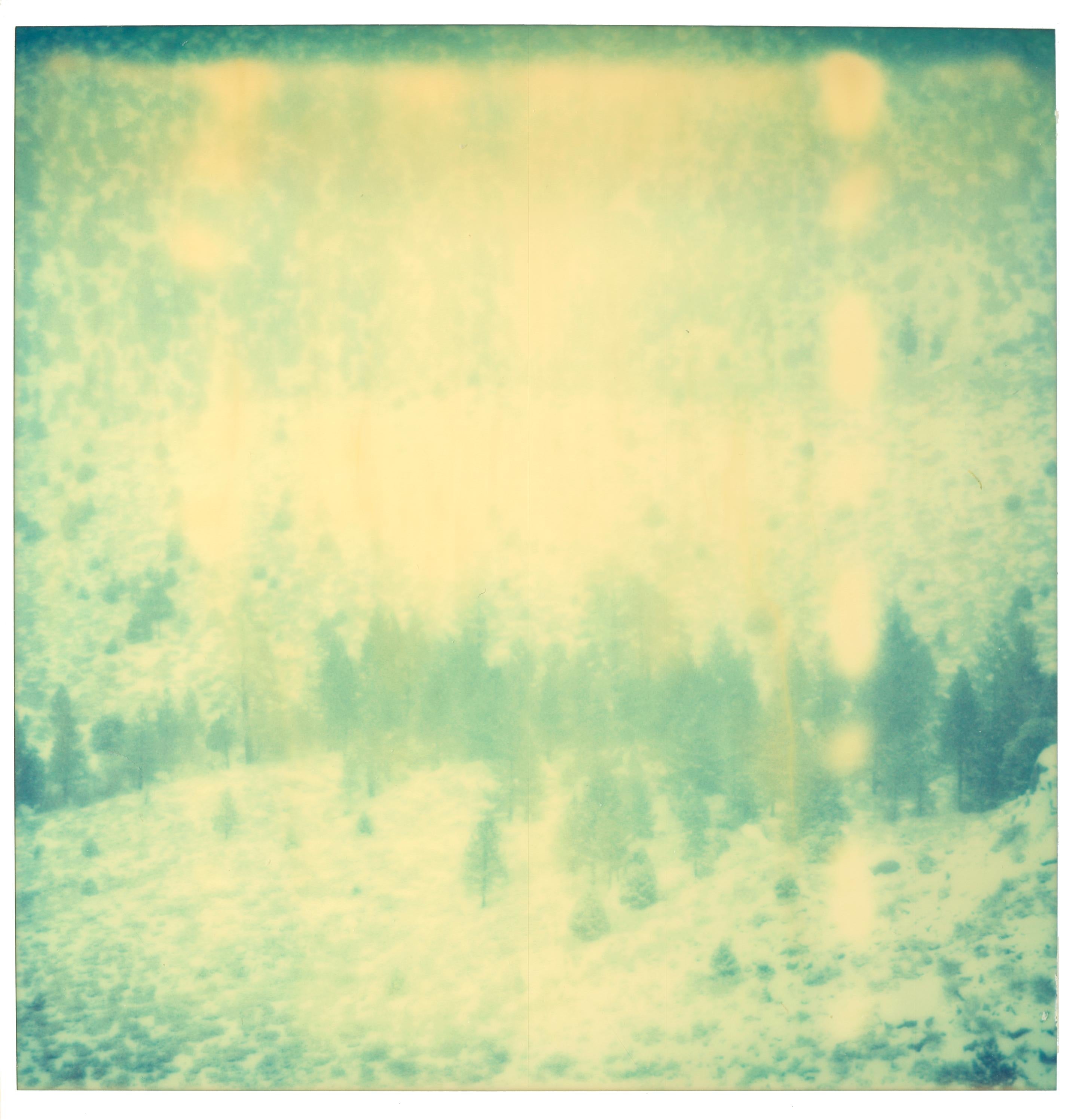 Memories of Green II, triptych, analog, mounted - Contemporary Photograph by Stefanie Schneider